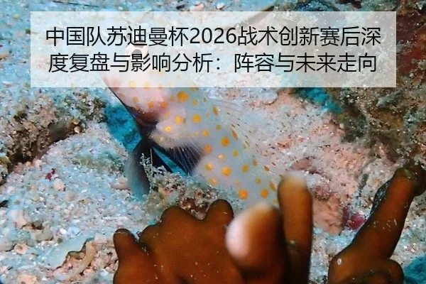 中国队苏迪曼杯2026战术创新赛后深度复盘与影响分析：阵容与未来走向